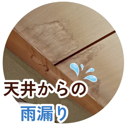 天井からの雨漏り