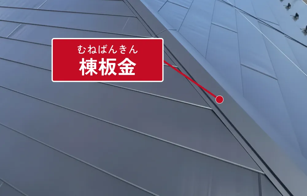 棟板金