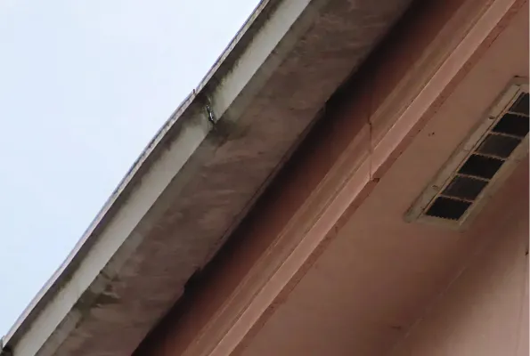 塗膜の浮き・剥がれ