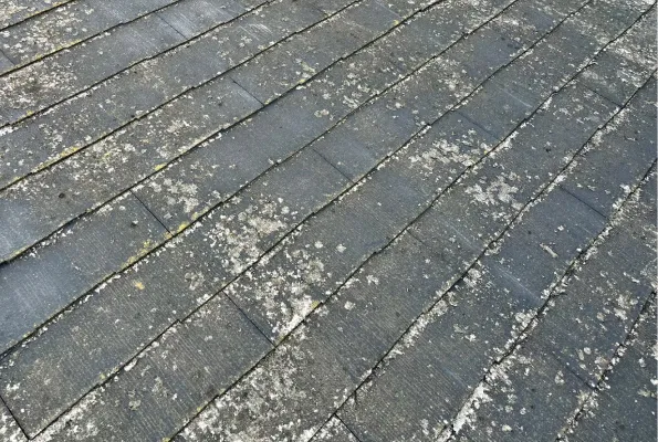 塗膜の浮き・剥がれ