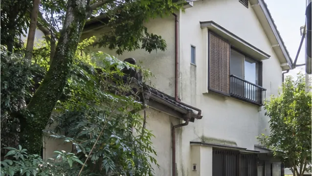 日陰や湿気が多い住まい