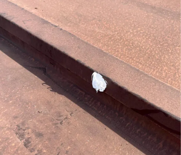 屋根塗装前の釘補修作業の様子（川越市）