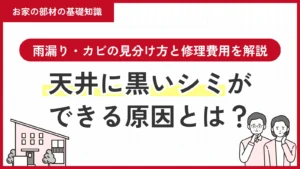 天井に黒いシミができる原因とは？雨漏り・カビの見分け方と修理費用を解説
