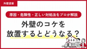 外壁のコケを放置するとどうなる？原因・危険性・正しい対処法をプロが解説