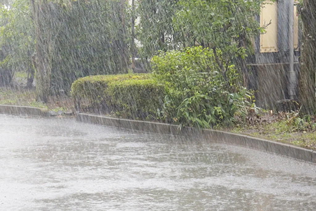 夏のゲリラ豪雨の様子